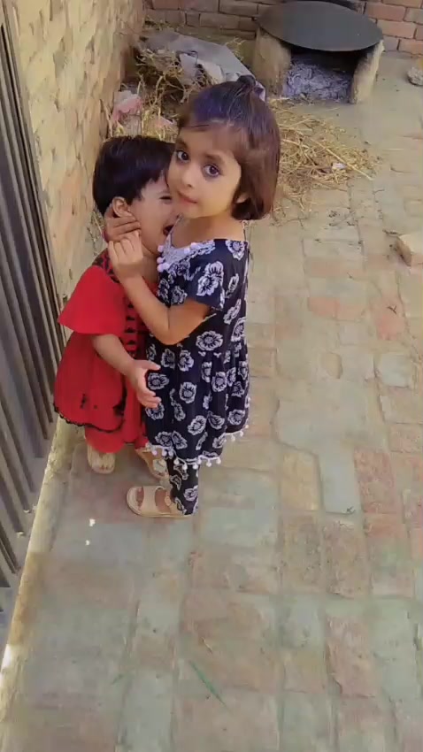 @anwarhussain6202