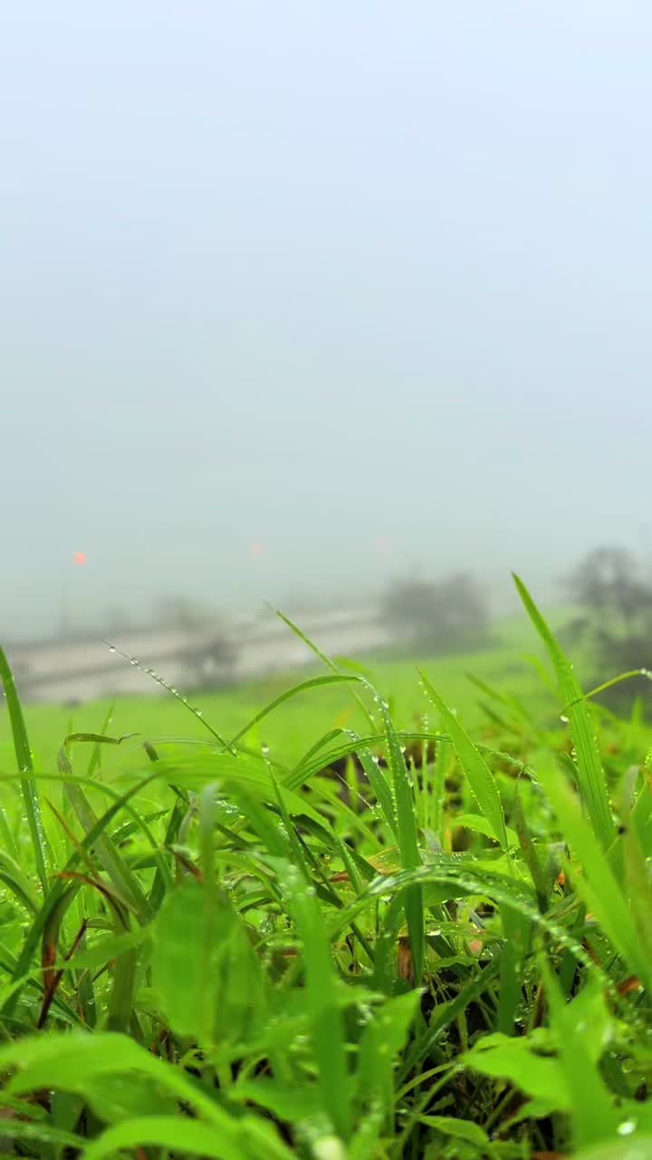 @hakimpalatharagate