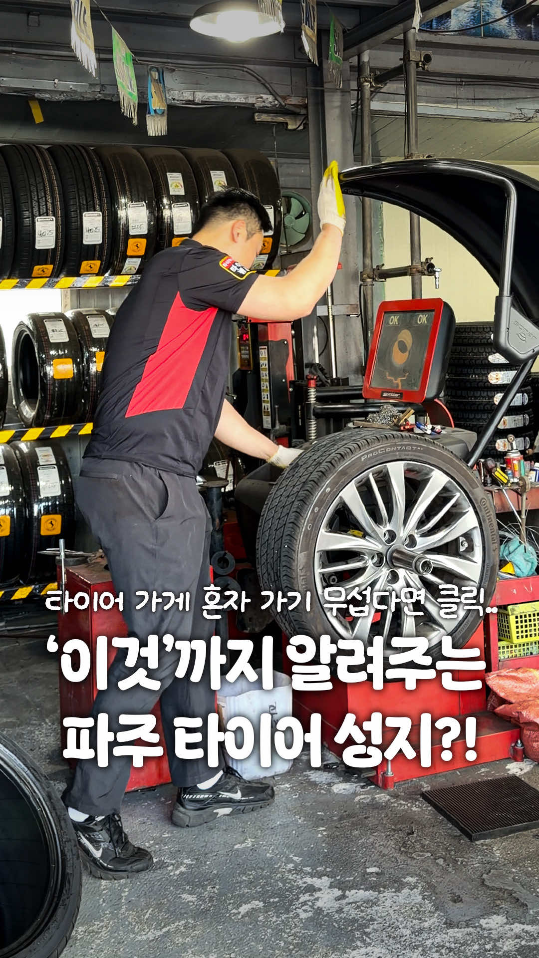 @일산갈고양