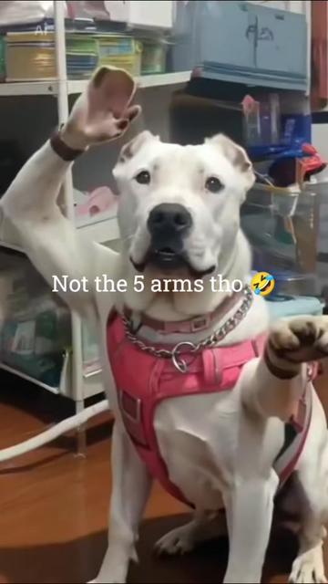 @🐾E-one 🌻Get🐕It♉ Done🪴