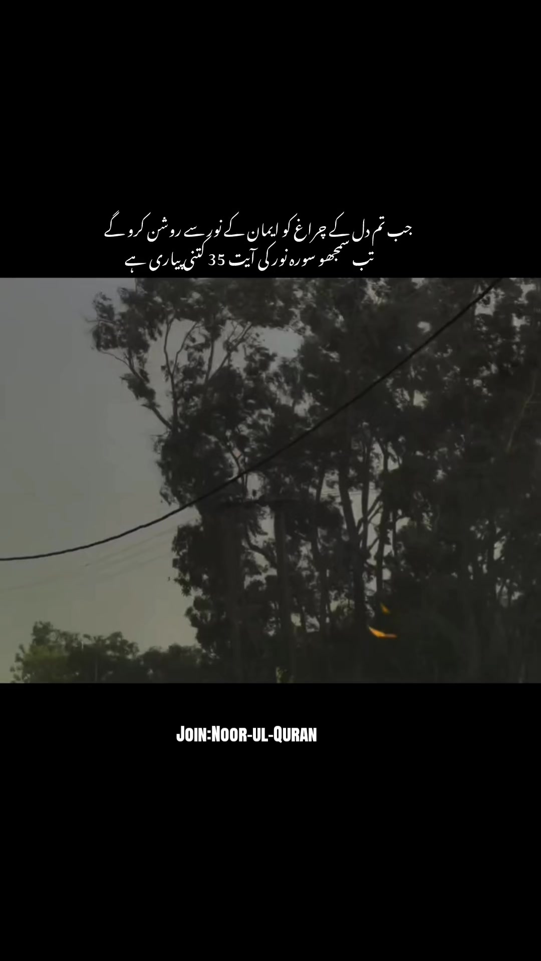 @قیس ✨🤍