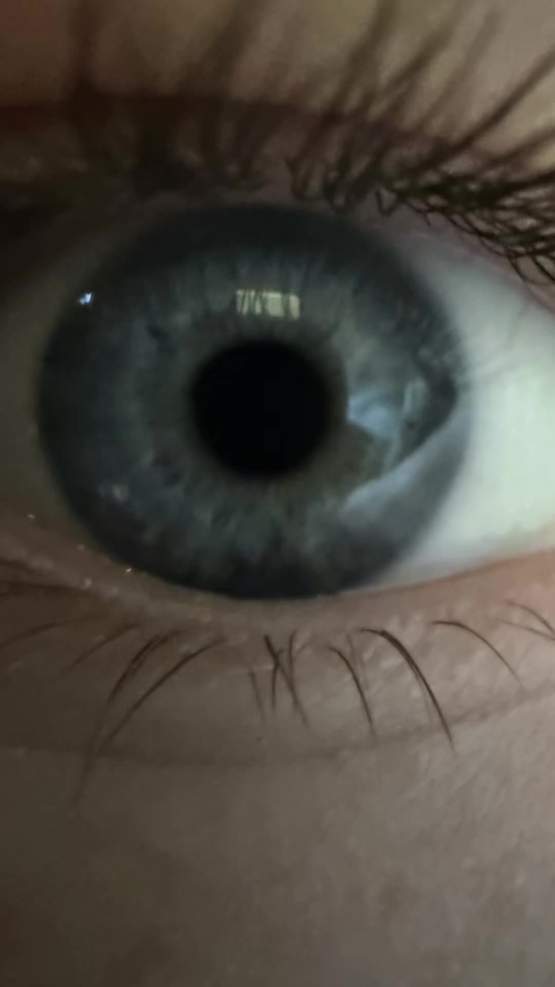 @TTVRipForYou