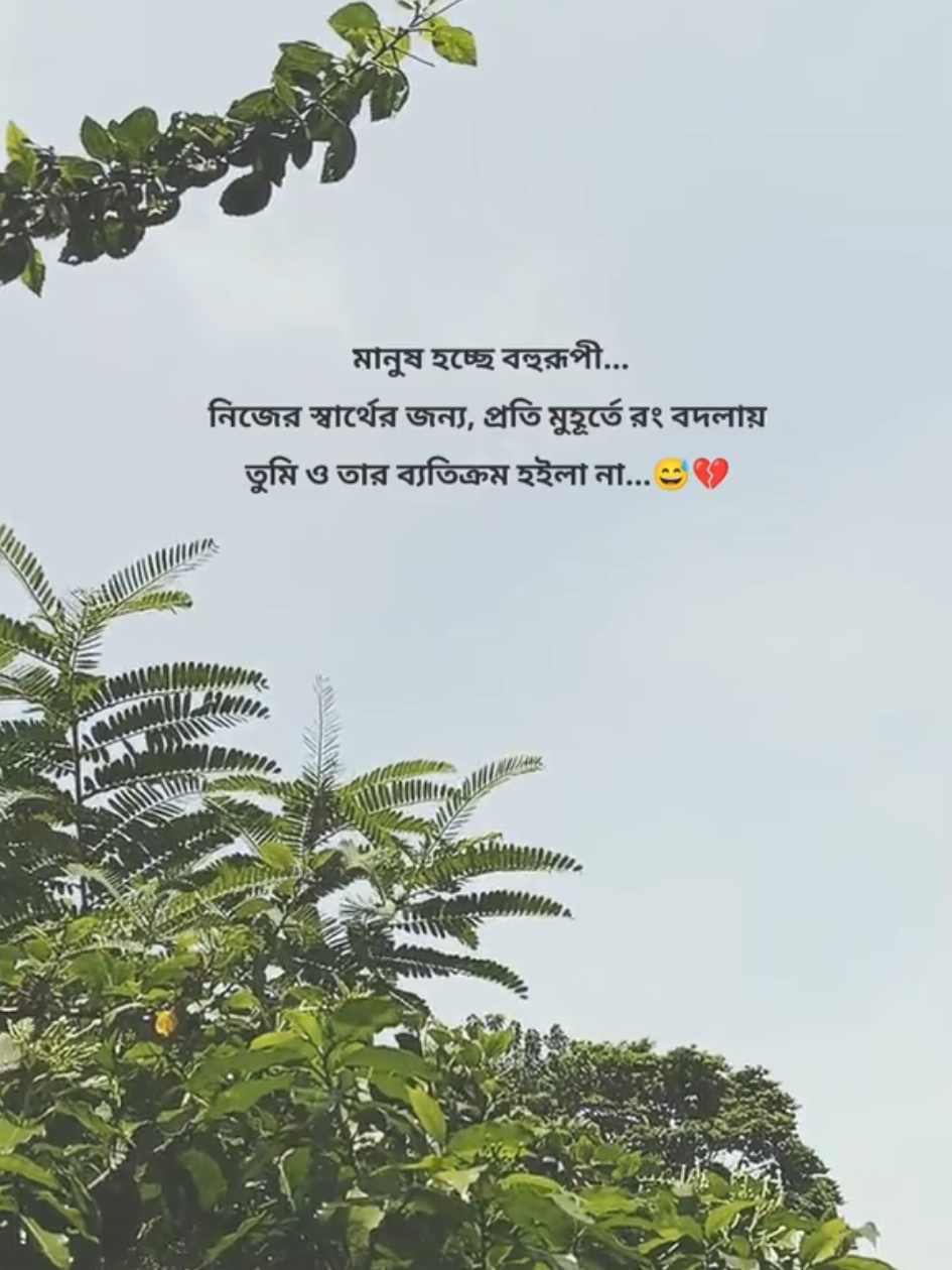 @Mr.CoolVibes