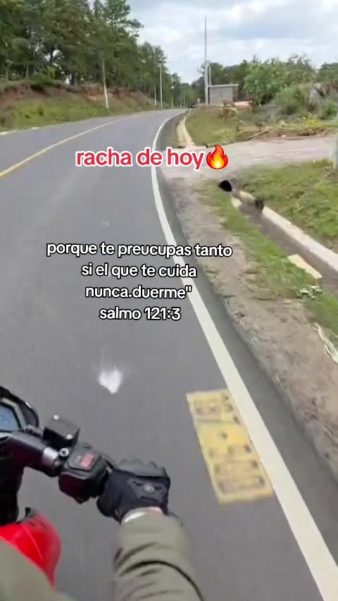 @JoseBiker502