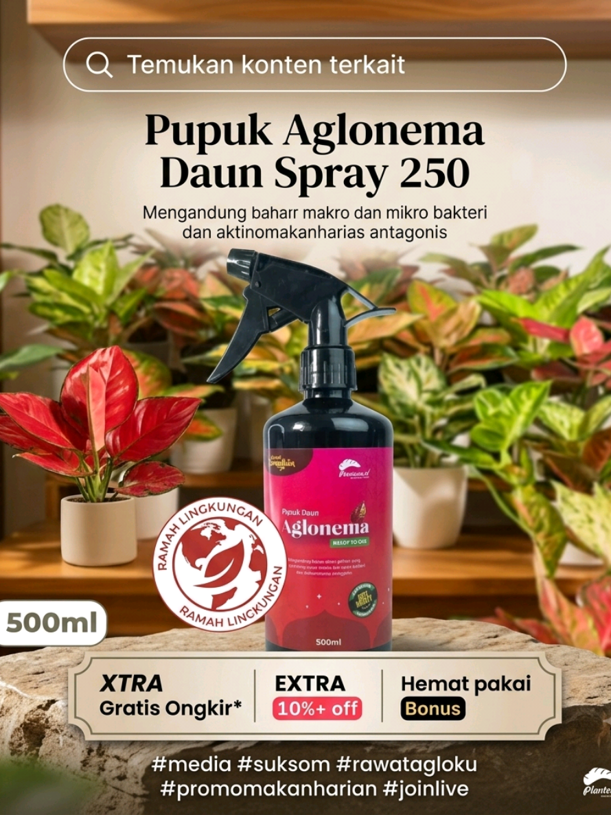 @Kuntum_Bunga