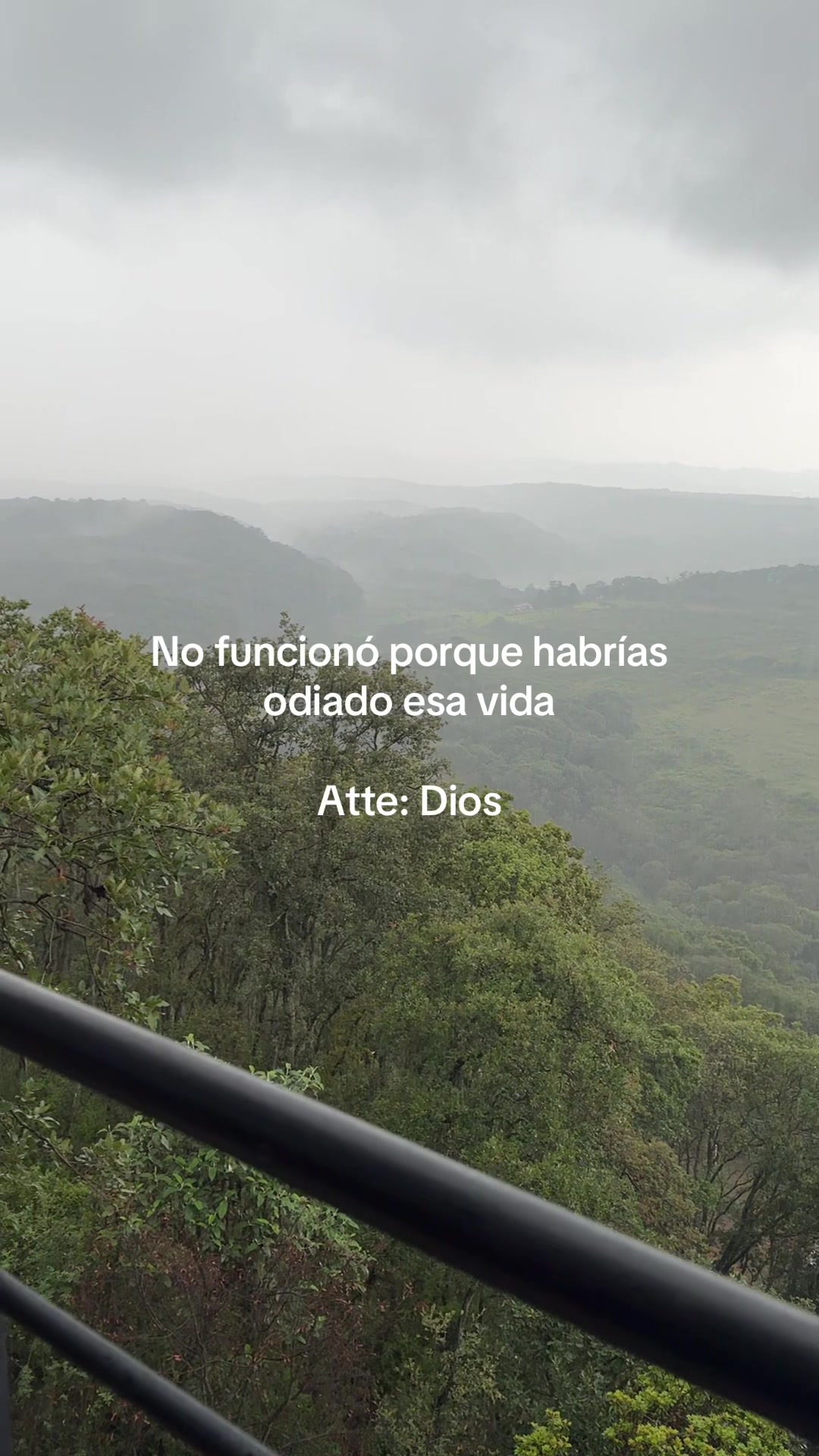 @Mariel Duarte