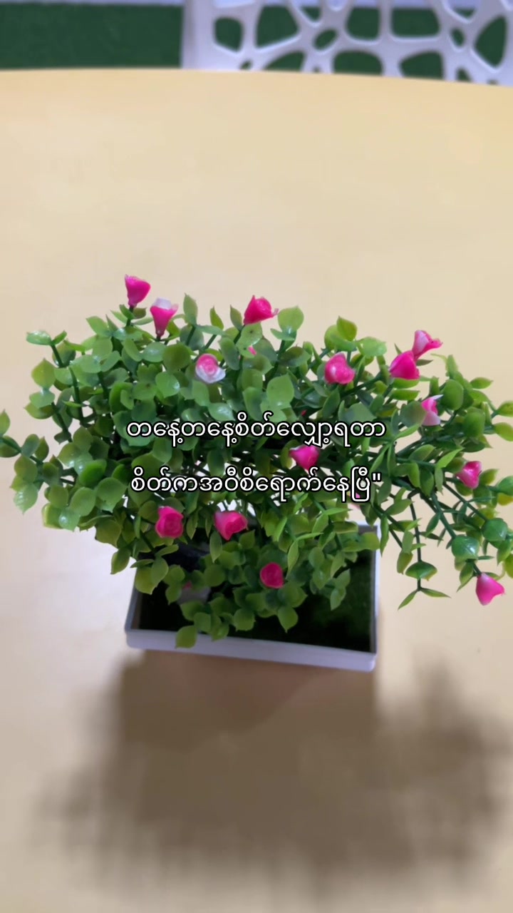 @𝐊𝐢𝐫𝐚 (ကီရာ)🔥
