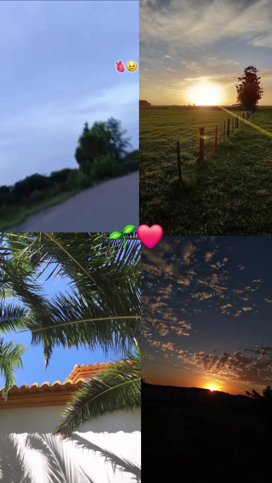 @*♡Łună*GN♡☆