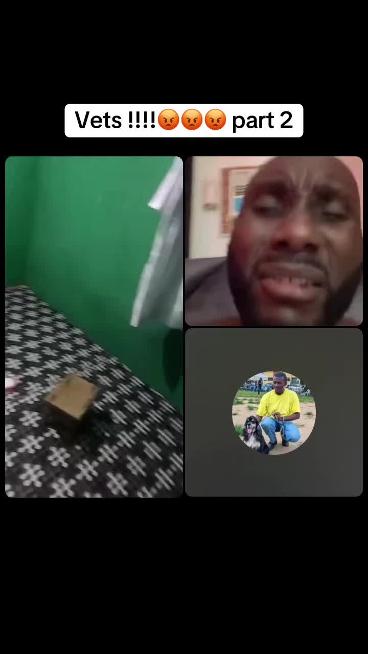 @Mothersheila_DogTv