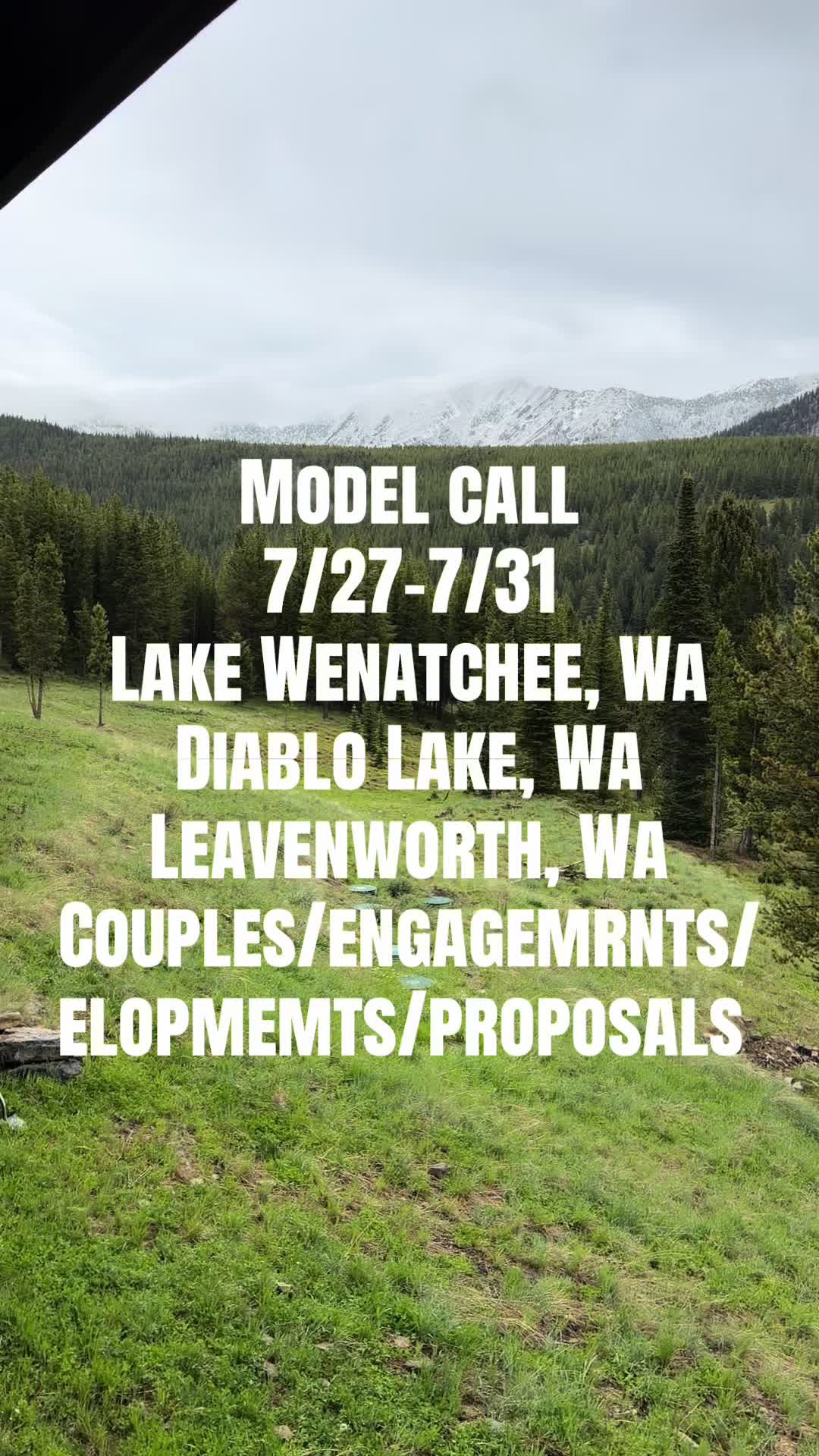 @WildMeadowPhotography
