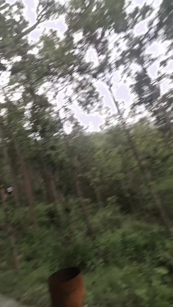 @सरु क्षेत्रि