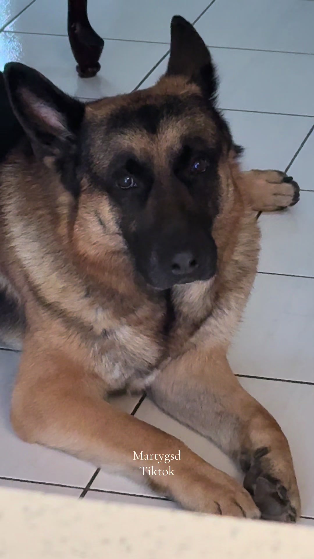 @Martygsd