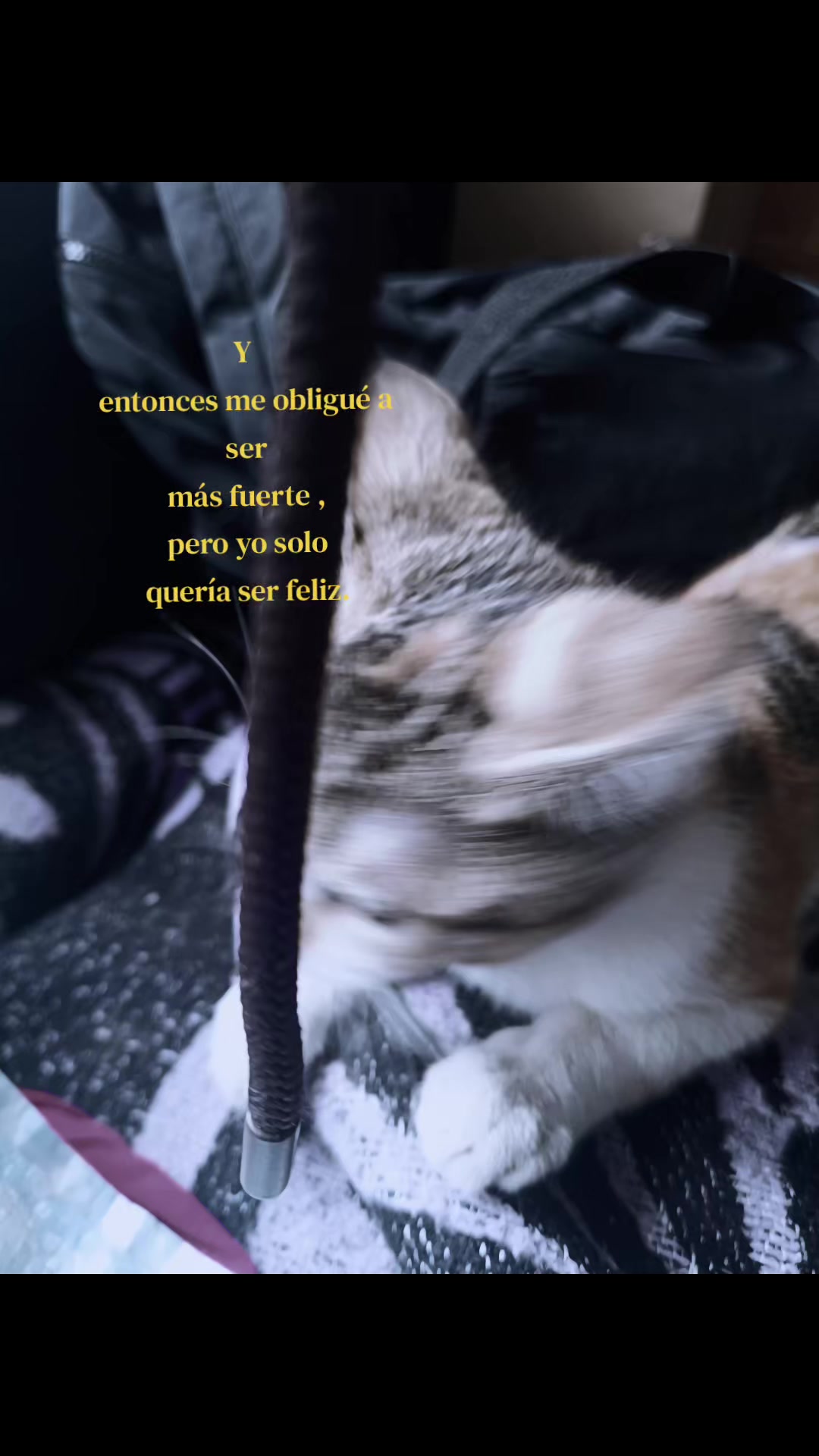 @𝕄𝕒𝕣𝕪𝕤✨