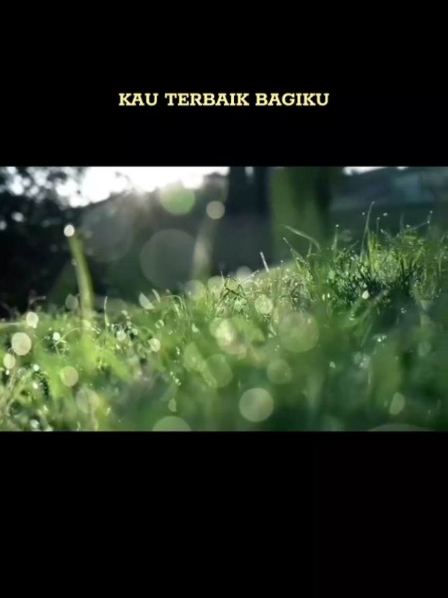 @Bulir Padi