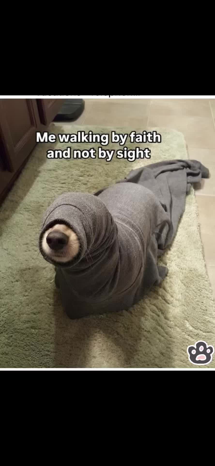 @𝓐𝓷𝓰𝓮𝓵𝓲𝓴🌷