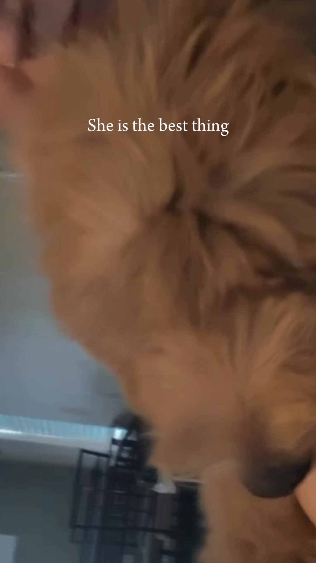 @ALEXA
