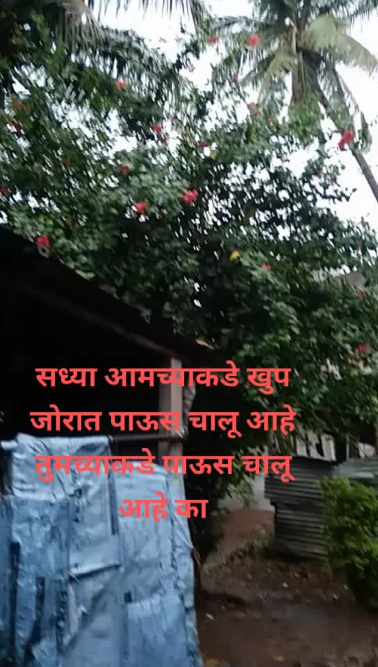 @Subhash Chougule