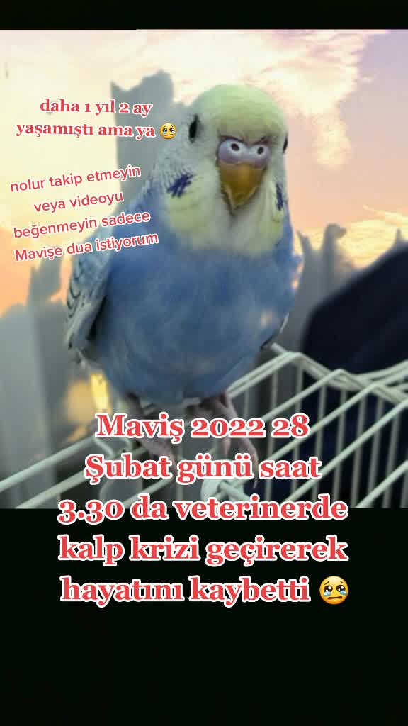 @GOKKİT