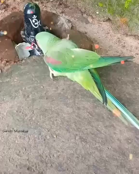 @Tiktok1544