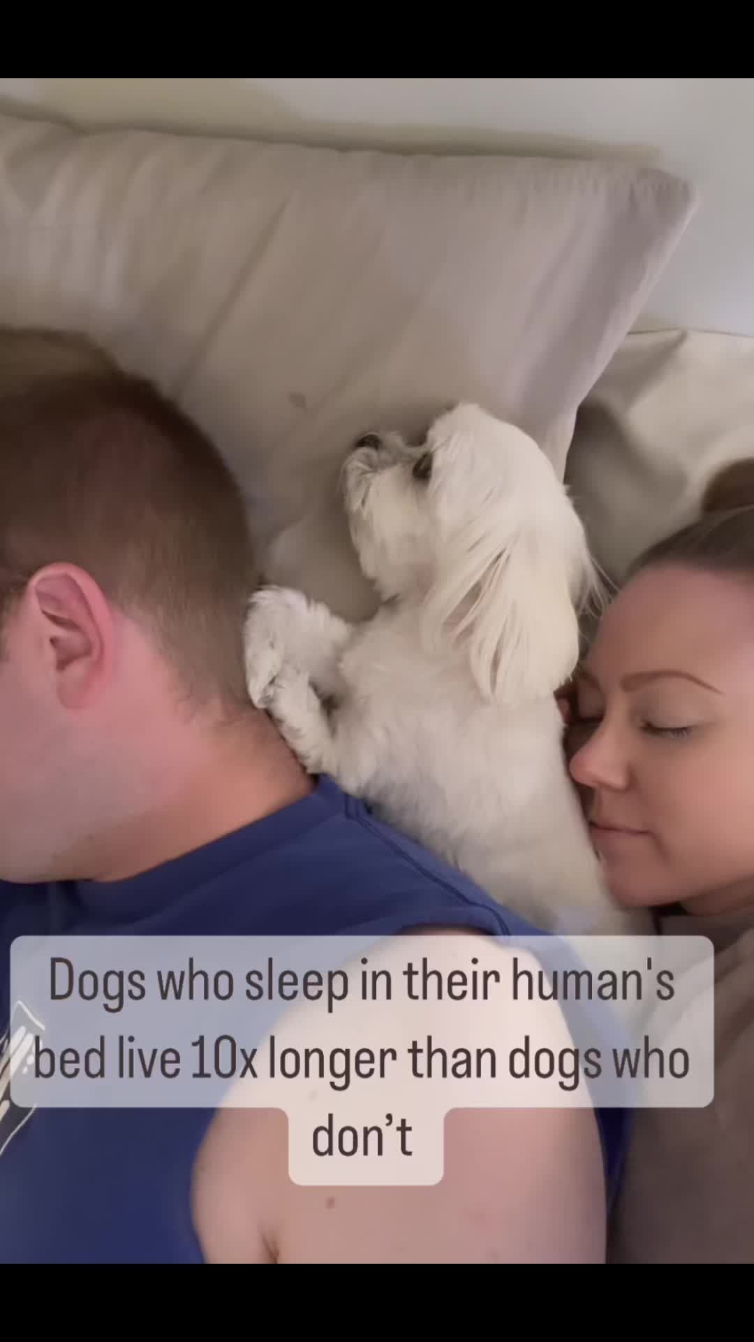 @Little Sophie kisses