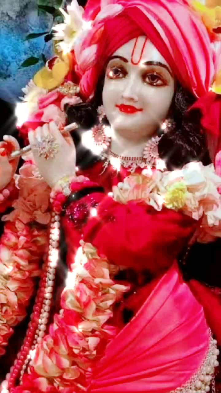 @user950867969053