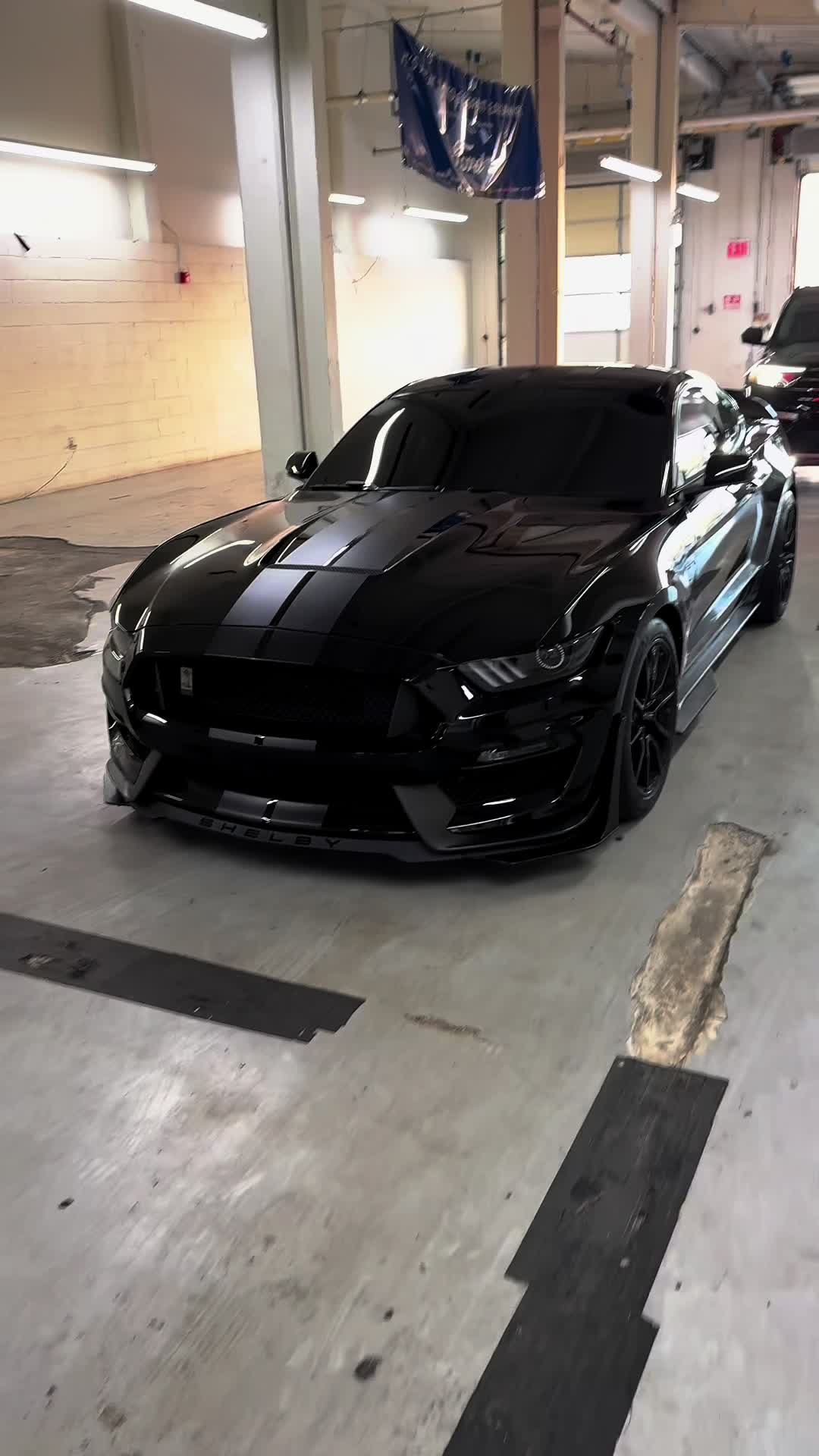 @Venomz