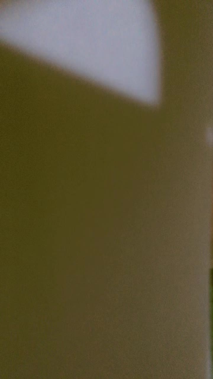 @Šärå-Šęgūrâ