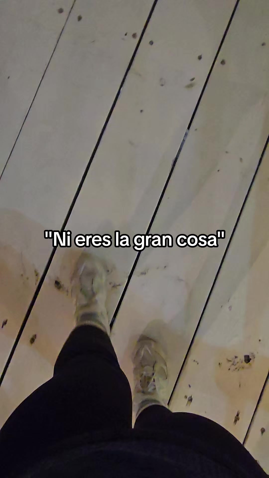 @ingrid🕷