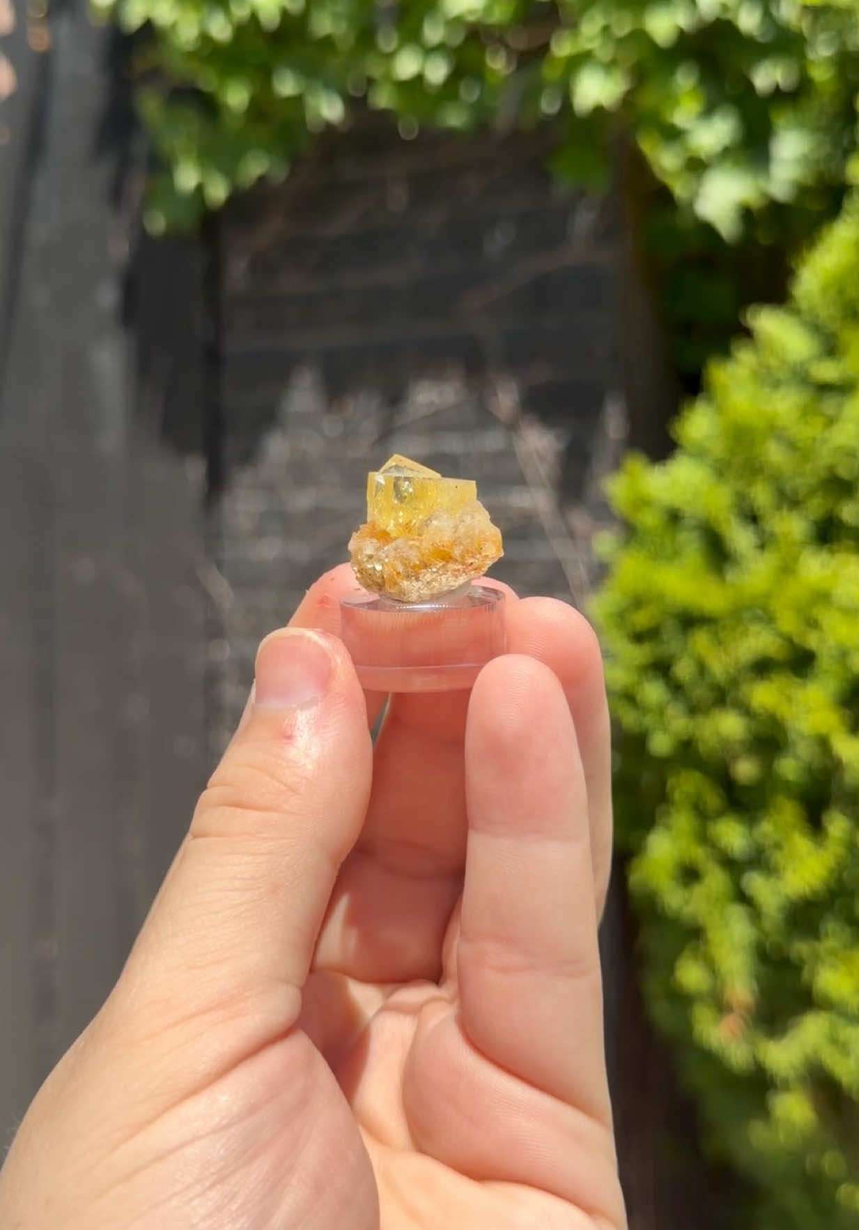 @Minerals by Blake