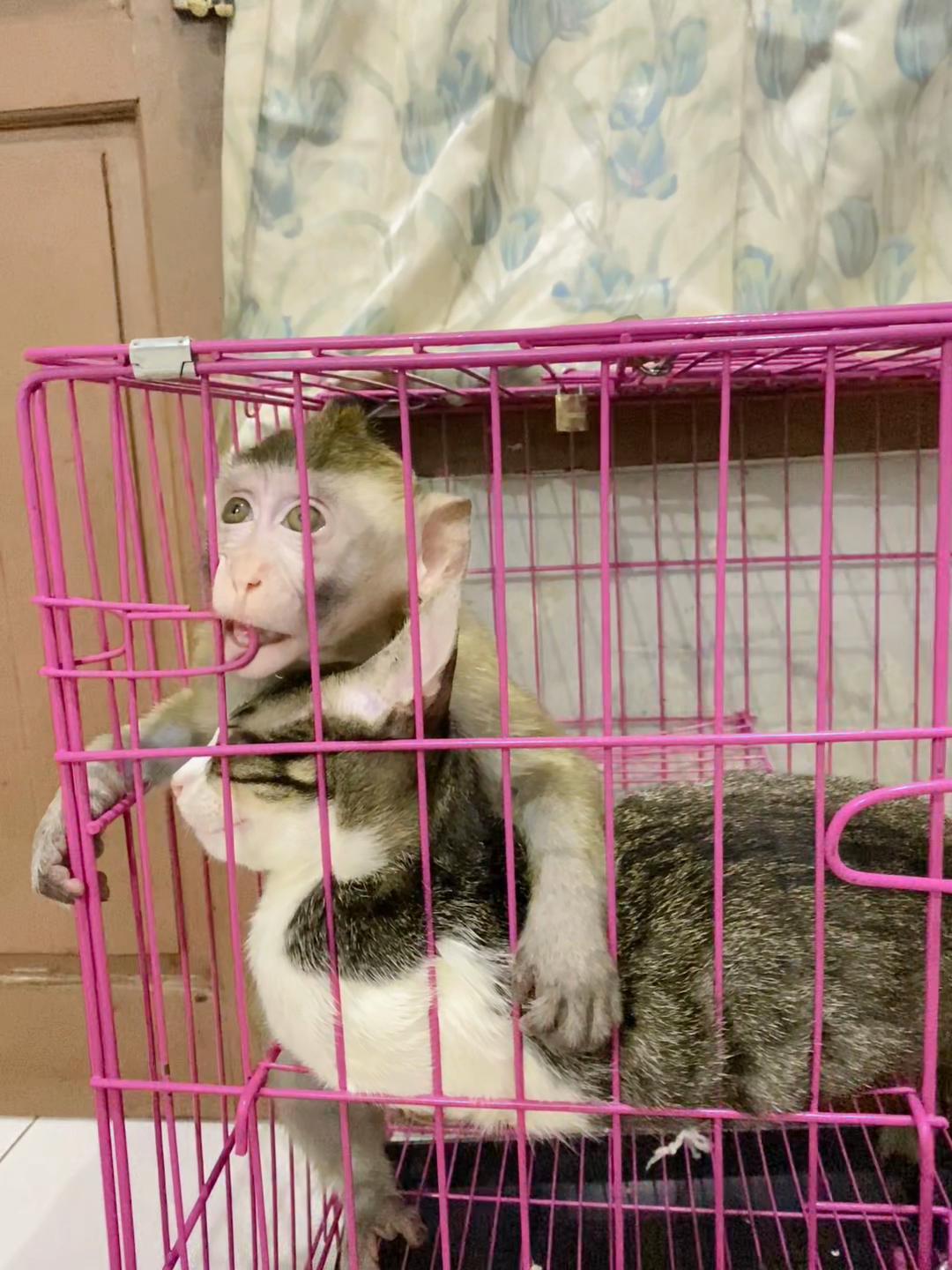 @Michelle🐒