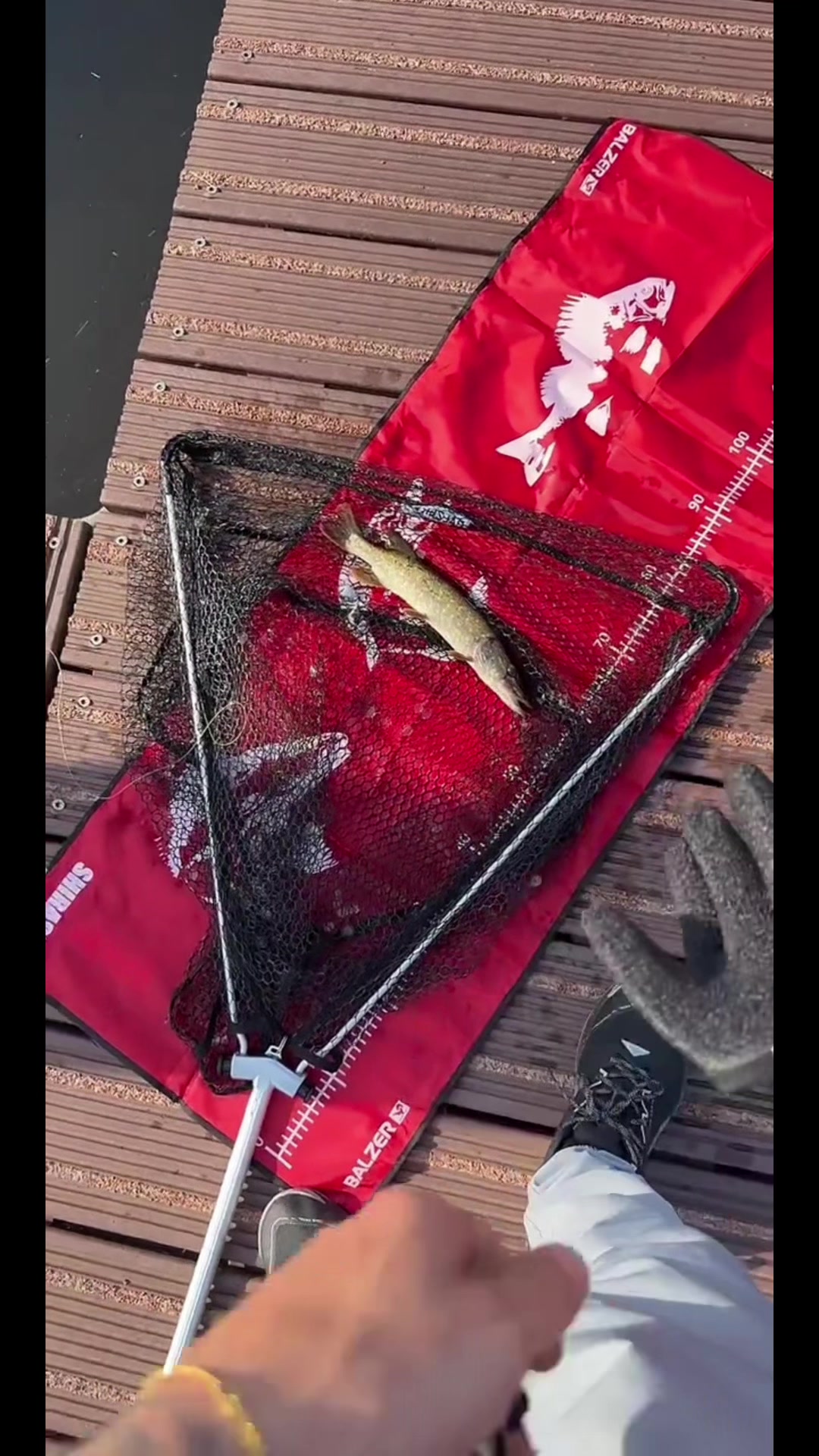 @fishfluencer_de