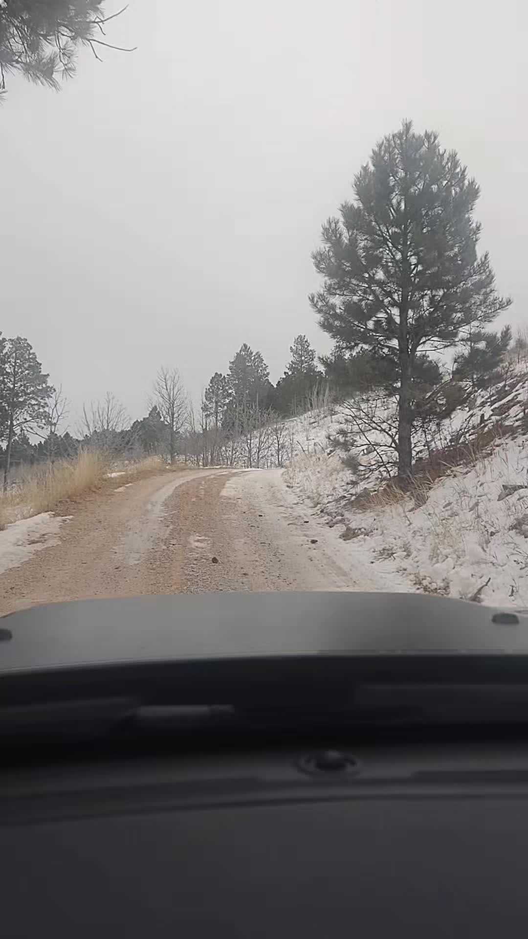 @Hills_Huntress83