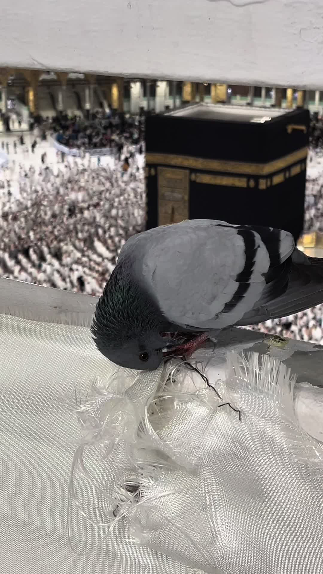 @الحرم مكة 🕋