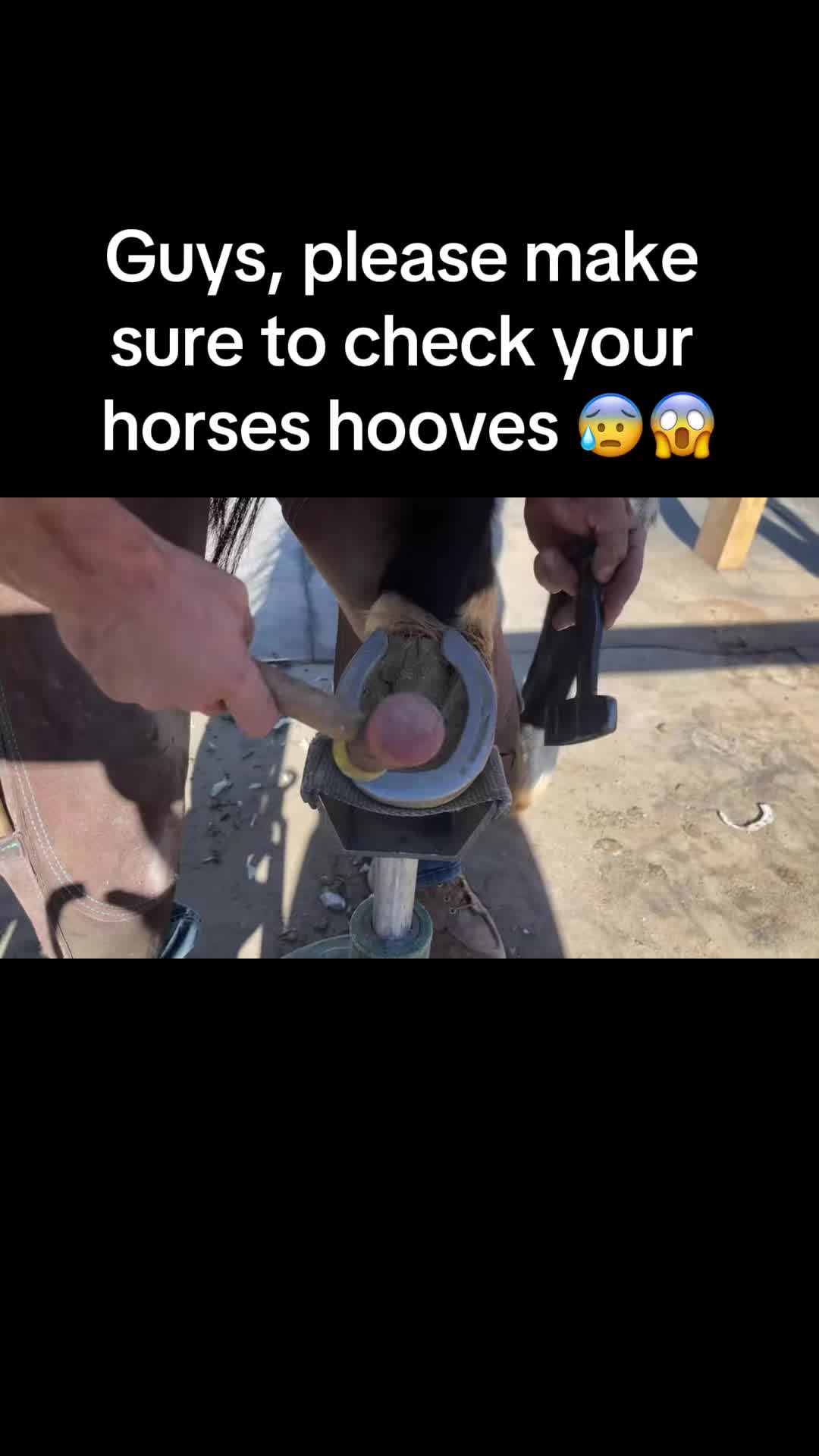 @veronica :)
