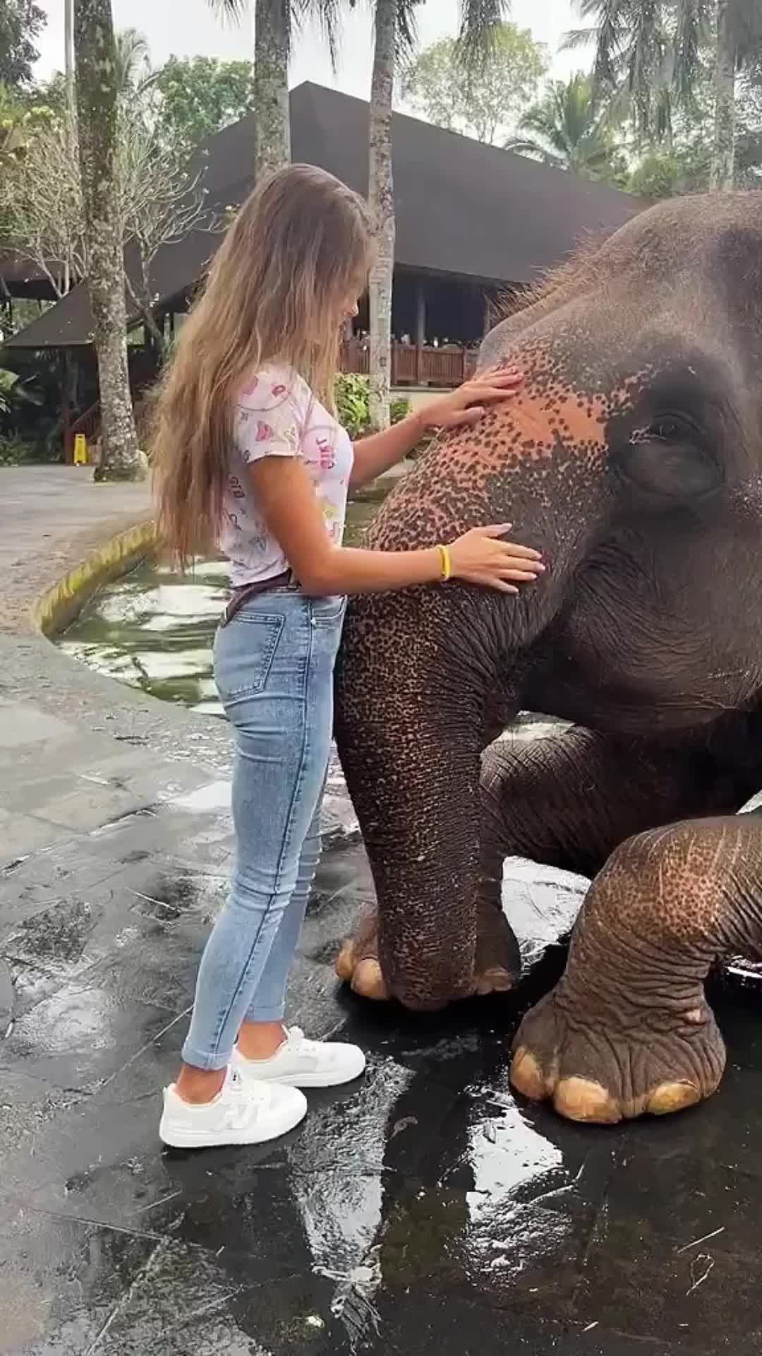 @Valeria Pant