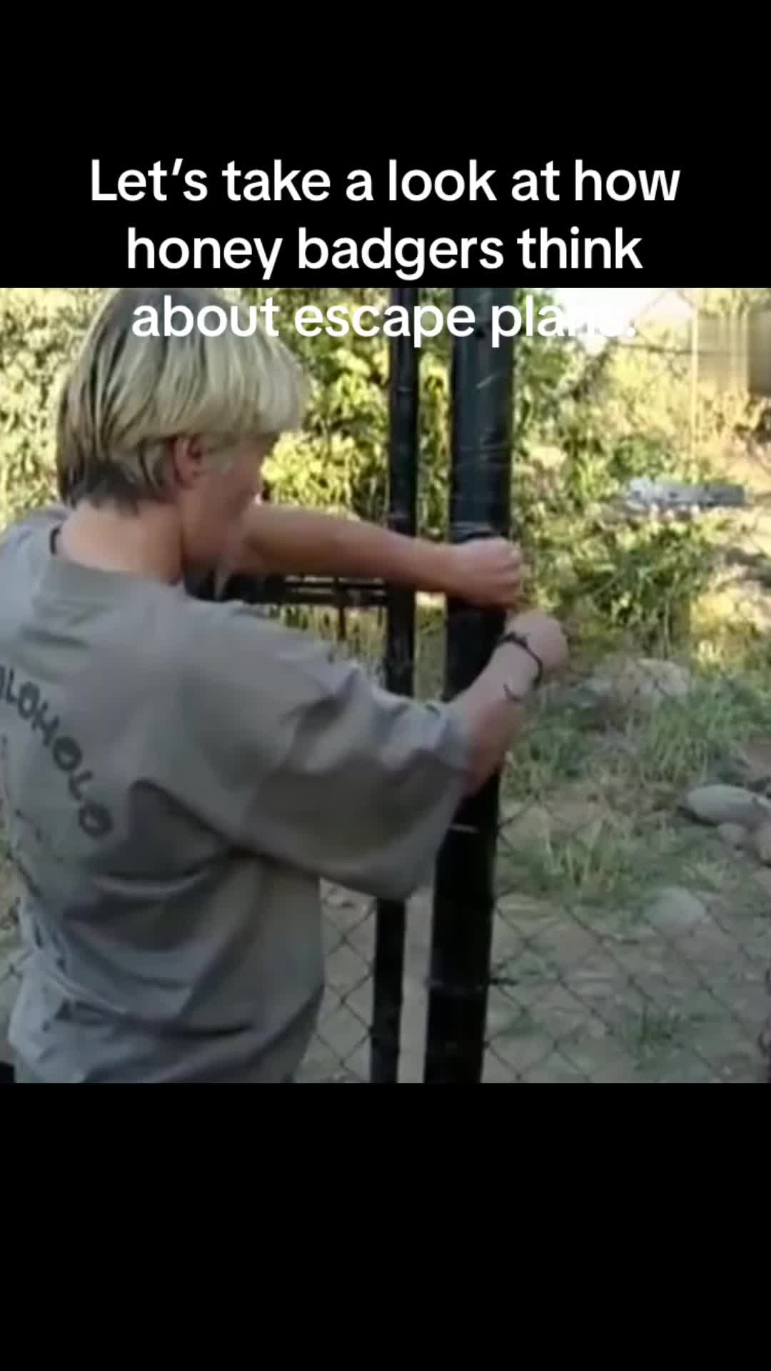 @aboutanimals