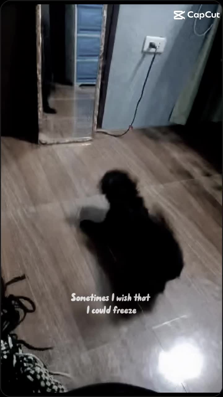 @iamsharron20