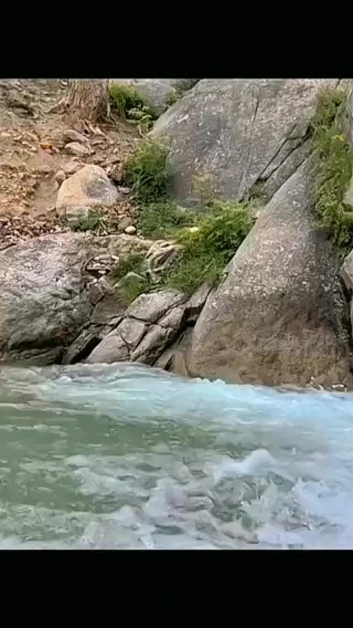 @جویریة