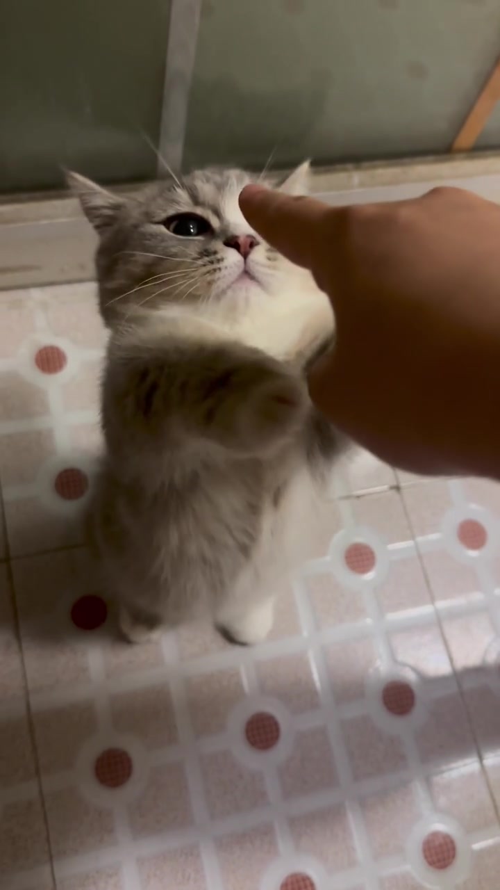 @マイ