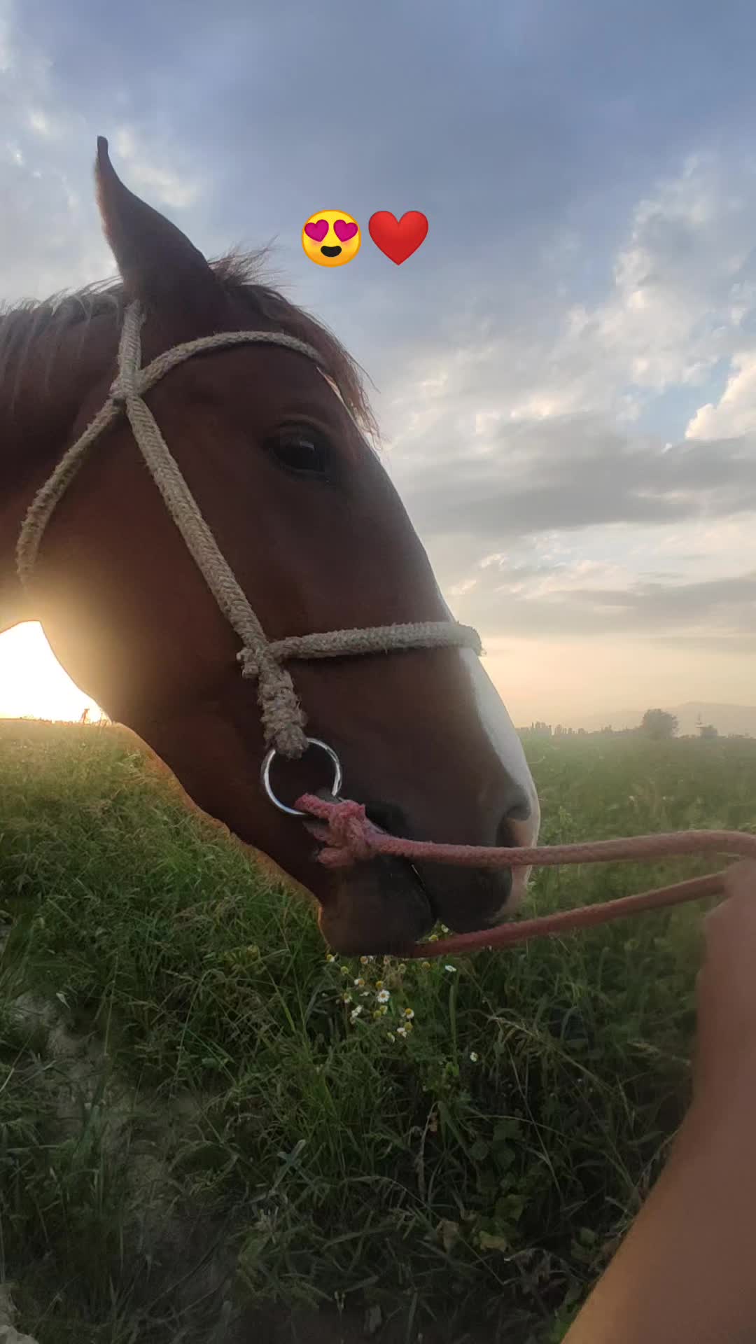 @𝕋𝔸𝕃𝔸𝕊07