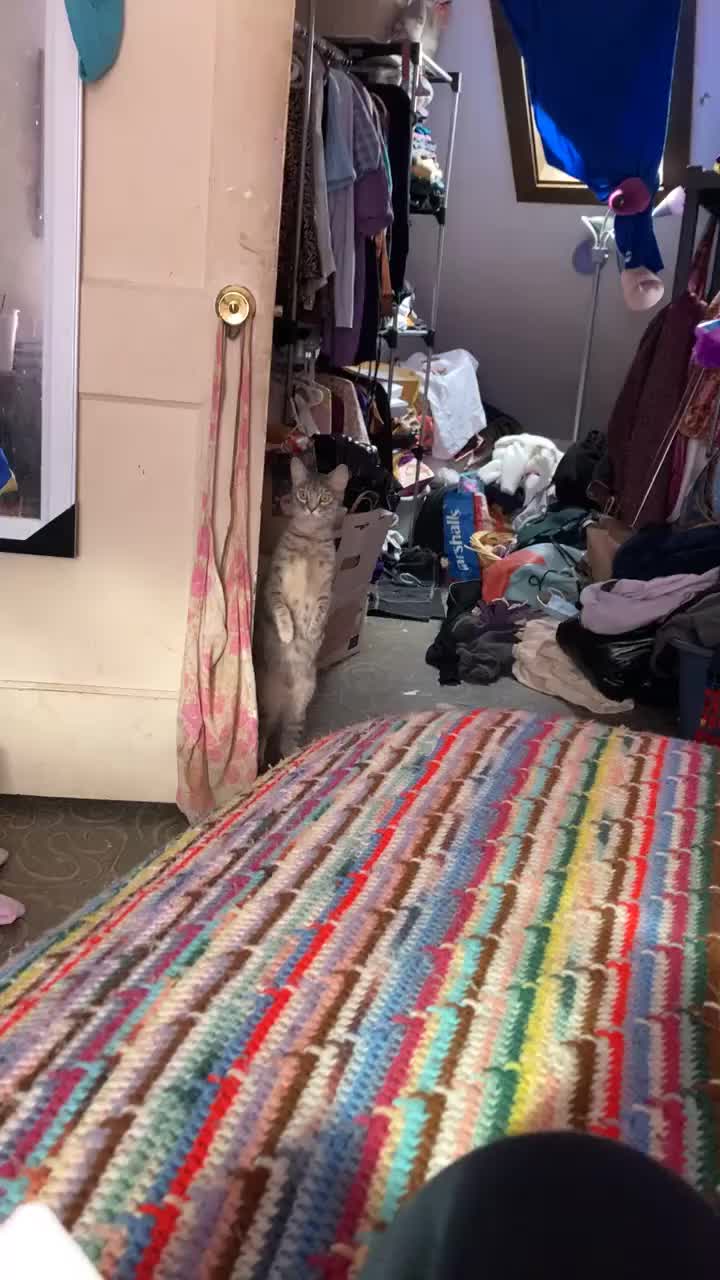 @TheVandyVibe