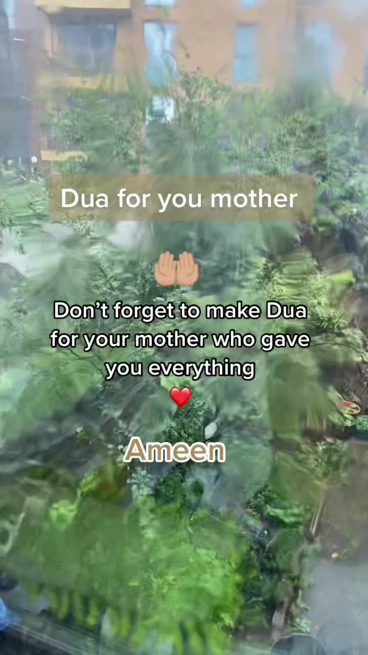 @Dreaming of Jannah