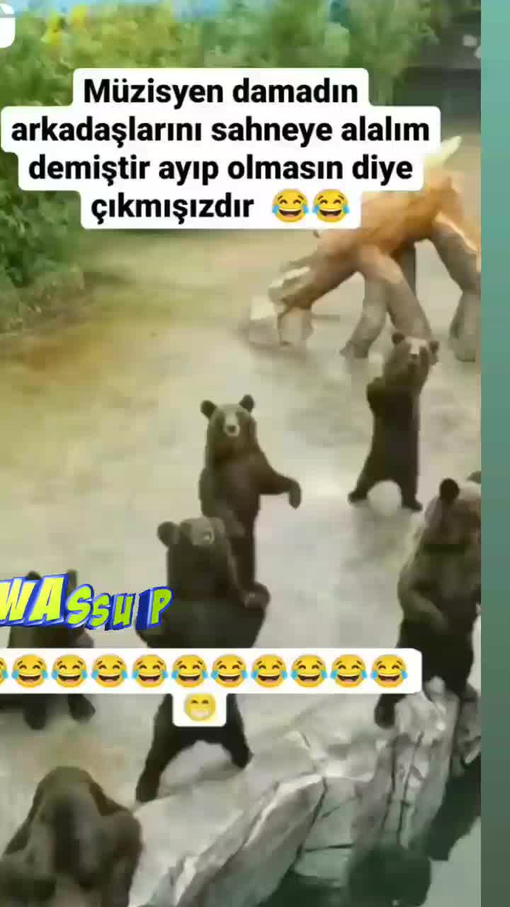@aynura -💞sami kral💕