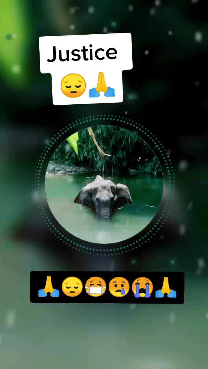@dubey1321