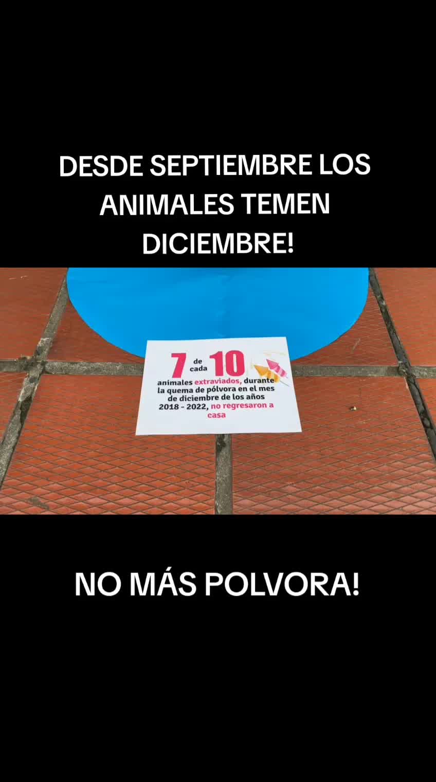@Pasión Animal Tv