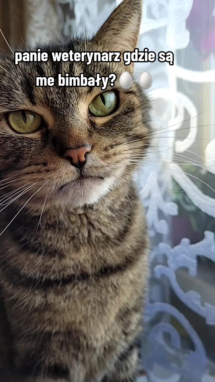 @😻Ekipa Świrka 😻
