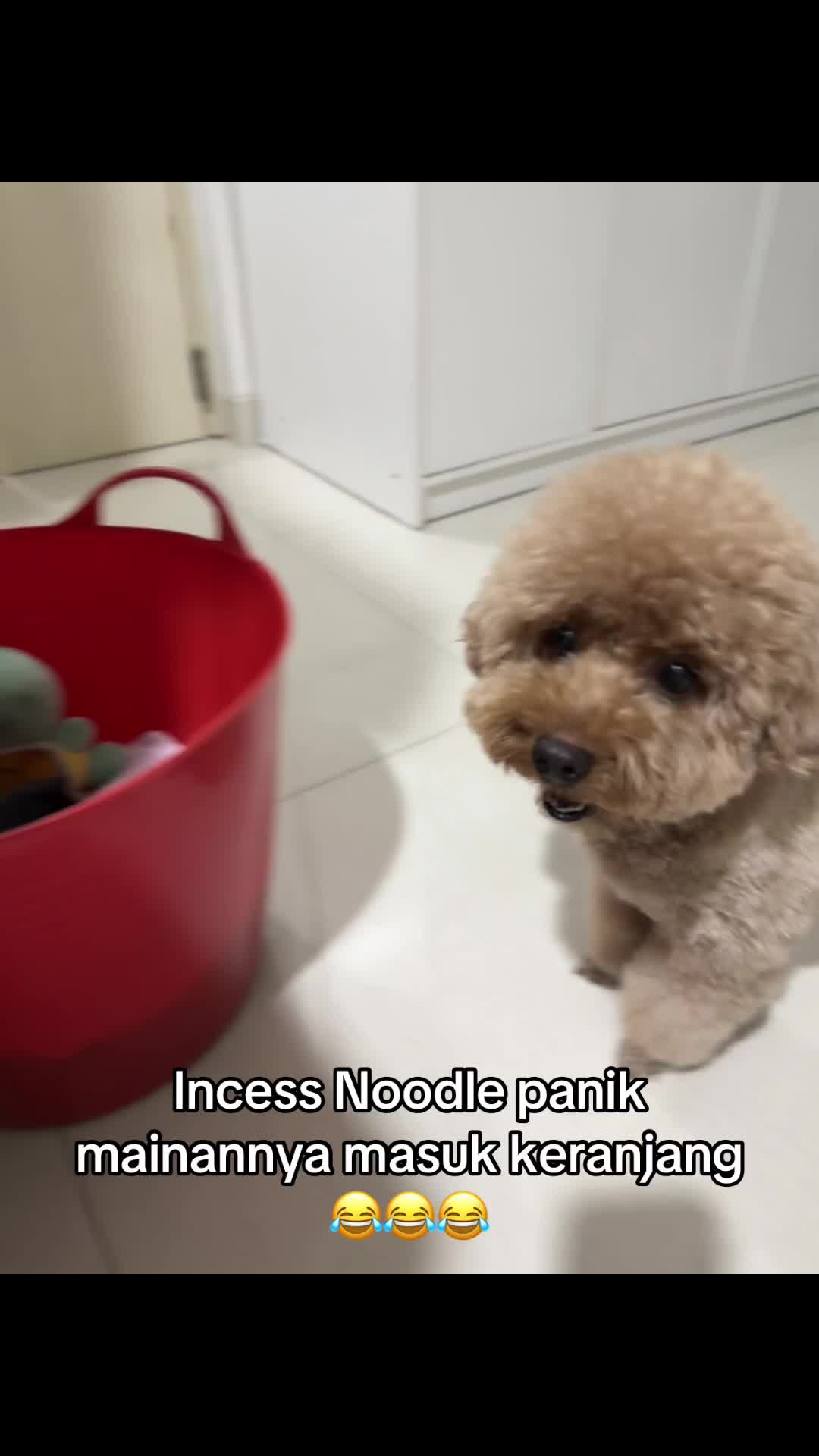 @Emilia Emilia