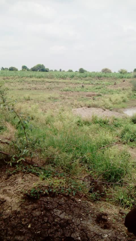 @Bhagavat Athave