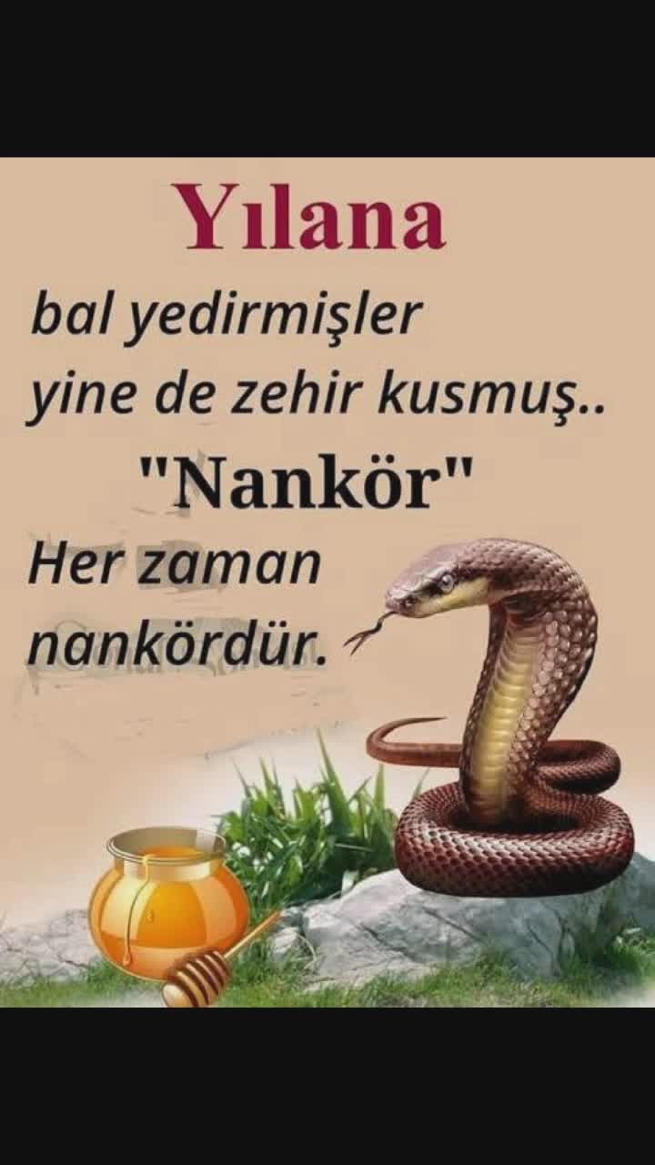 @EG&ouml;ren🇹🇷🇵🇸🇹🇷