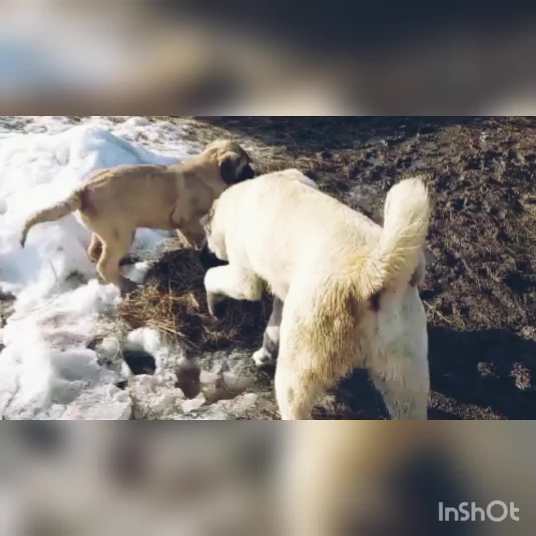 @Сашуля Милашка